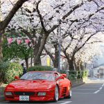 桜フェラーリ348